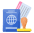 Visa Icon